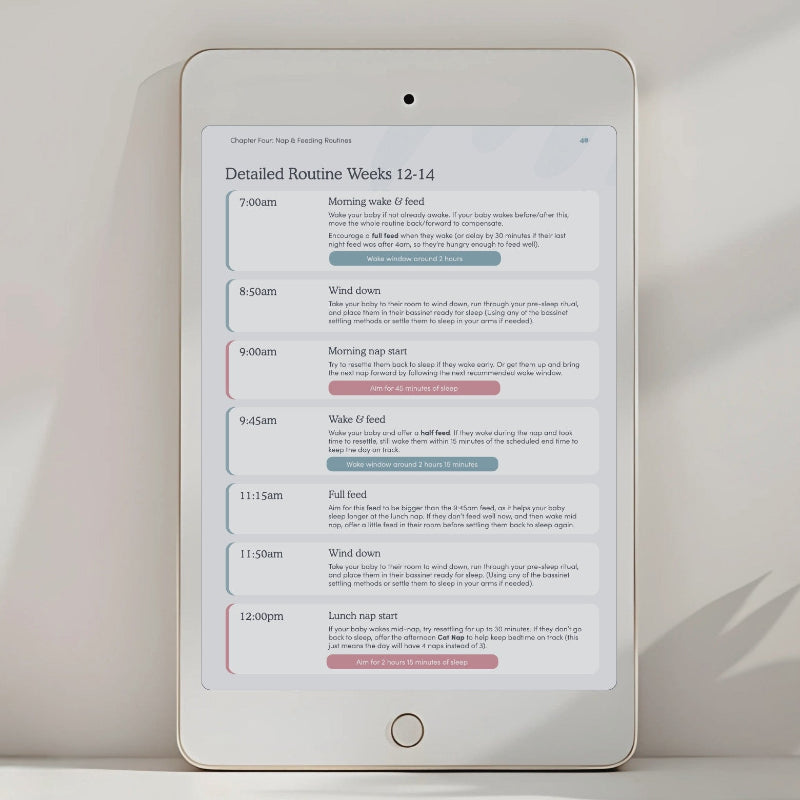 Newborn Sleep Schedule Example