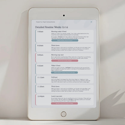 Newborn Sleep Schedule Example