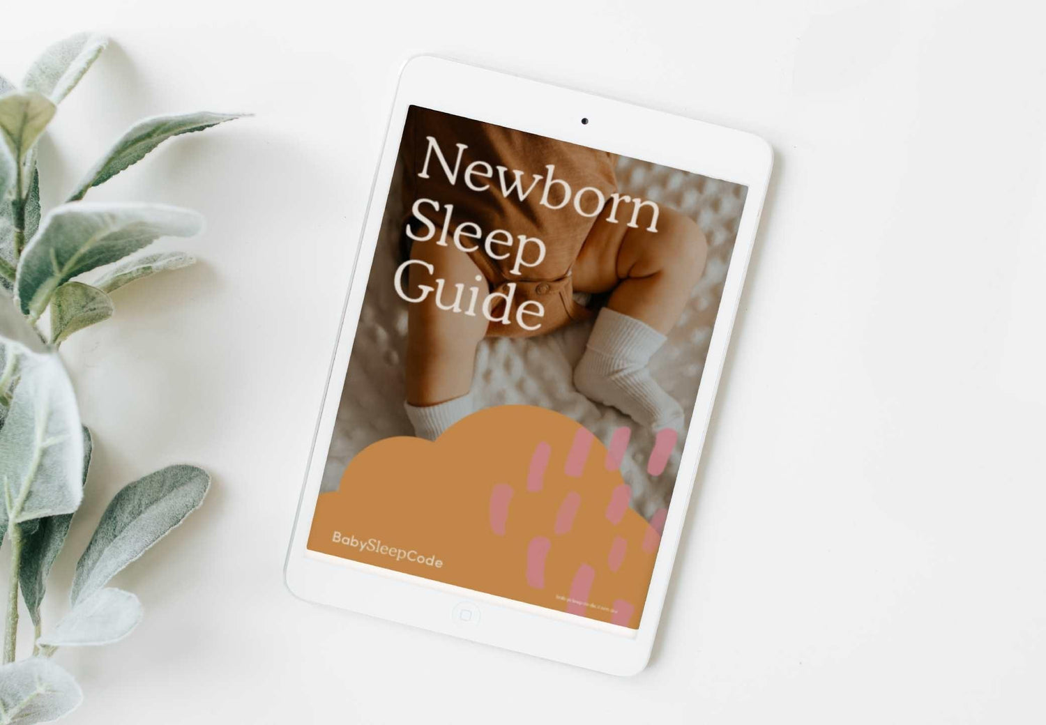 Newborn Sleep Guide  Nap Schedules & Feeding Routines