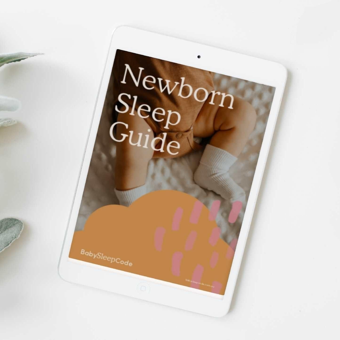 Newborn Sleep Guide Nap Schedules & Feeding Routines